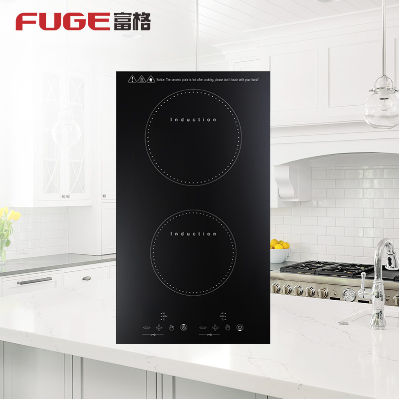 AOLIVIYA High Power Double Bur - đánh giá và giá Induction Cooktop Portable